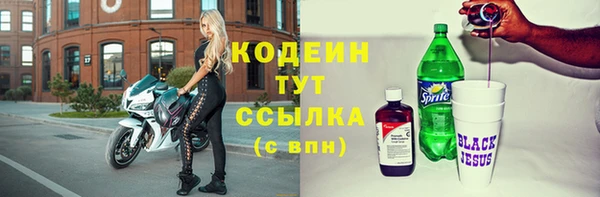 прущие грибы Вязьма