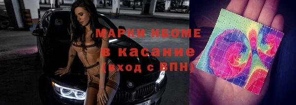 прущие грибы Вязьма