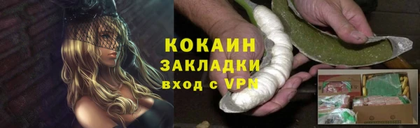 прущие грибы Вязьма