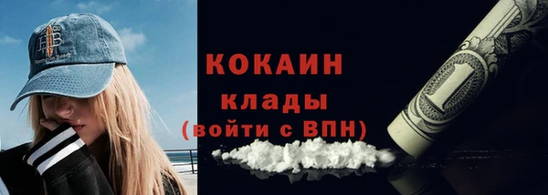прущие грибы Вязьма