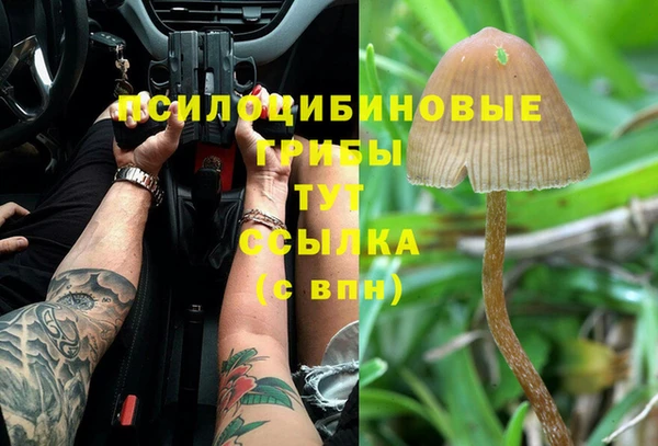 мдпв Вяземский