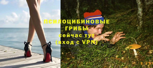 прущие грибы Вязьма