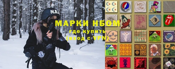 мдпв Вяземский