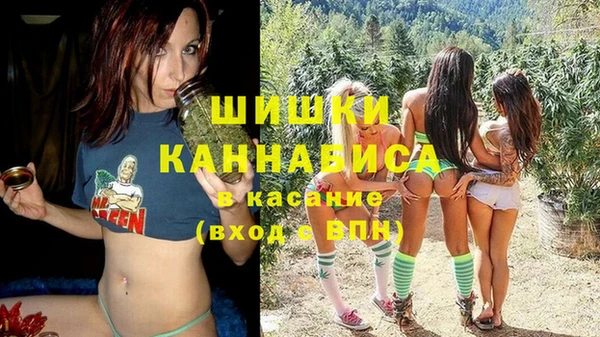 прущие грибы Вязьма