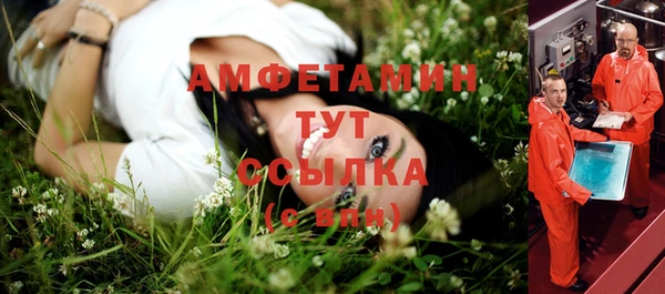 прущие грибы Вязьма