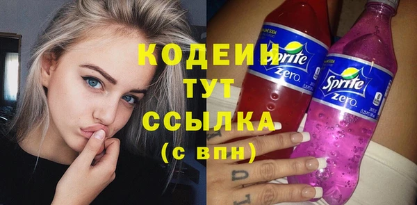 мдпв Вяземский