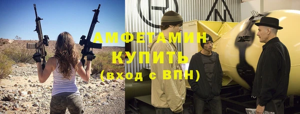 прущие грибы Вязьма