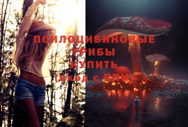 спайс Вязники