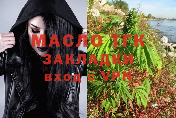 прущие грибы Вязьма