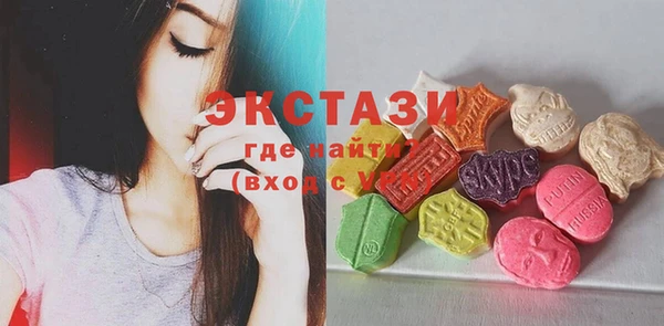 мдпв Вяземский