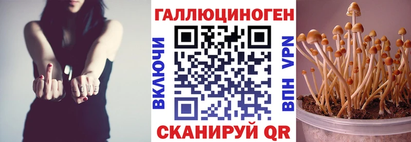 Галлюциногенные грибы Psilocybe  Нижний Новгород 